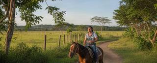 Paseo guiado a caballo por senderos rurales de Restrepo Meta