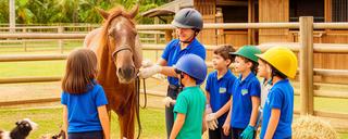 Niños en salida pedagógica interactuando con animales de granja en club ecuestre